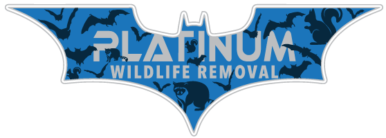 Wildlife Removal Howard County